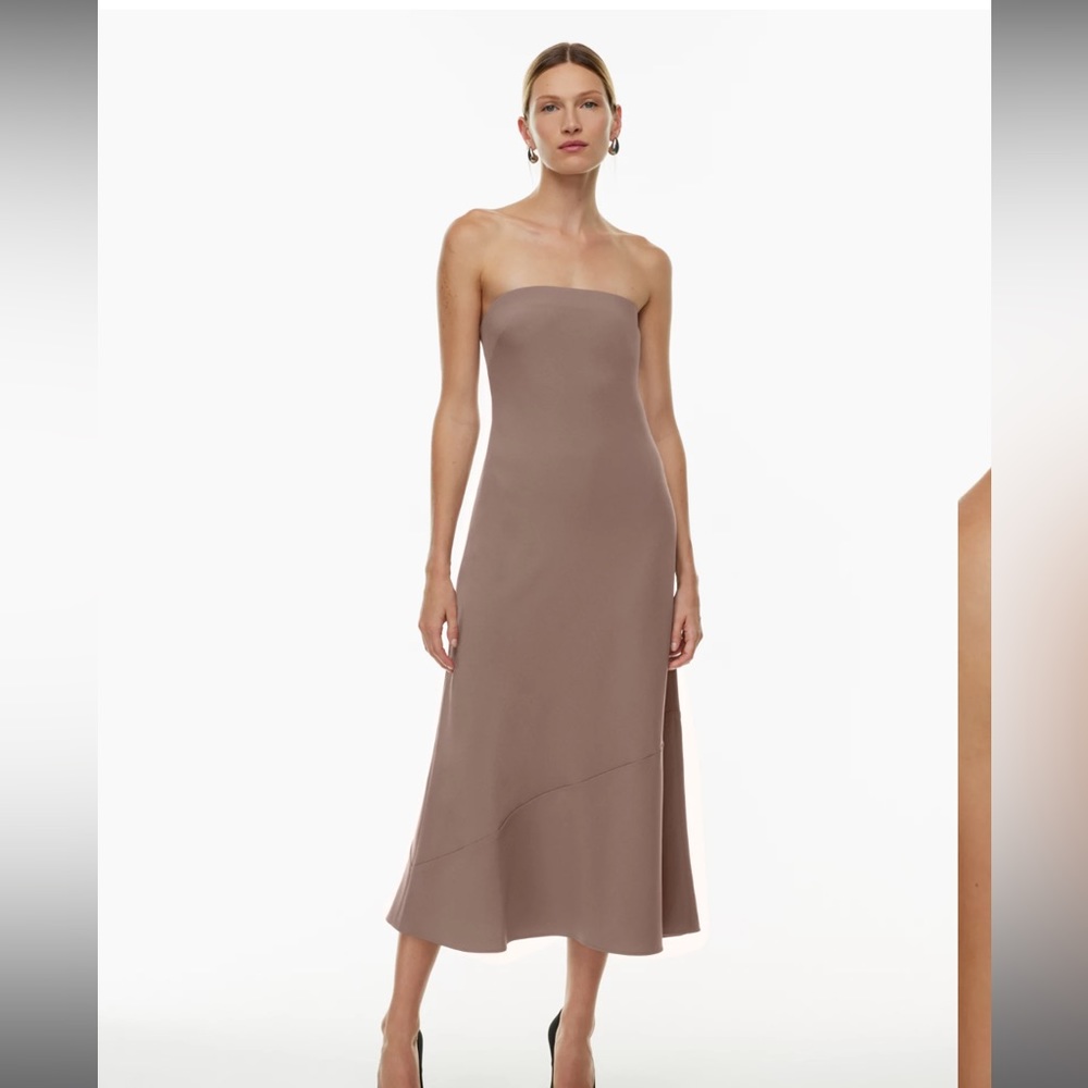 Aritzia Babaton Strapless Dress